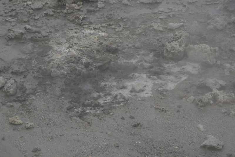 Nieuw-Zeeland 2011 - 0585